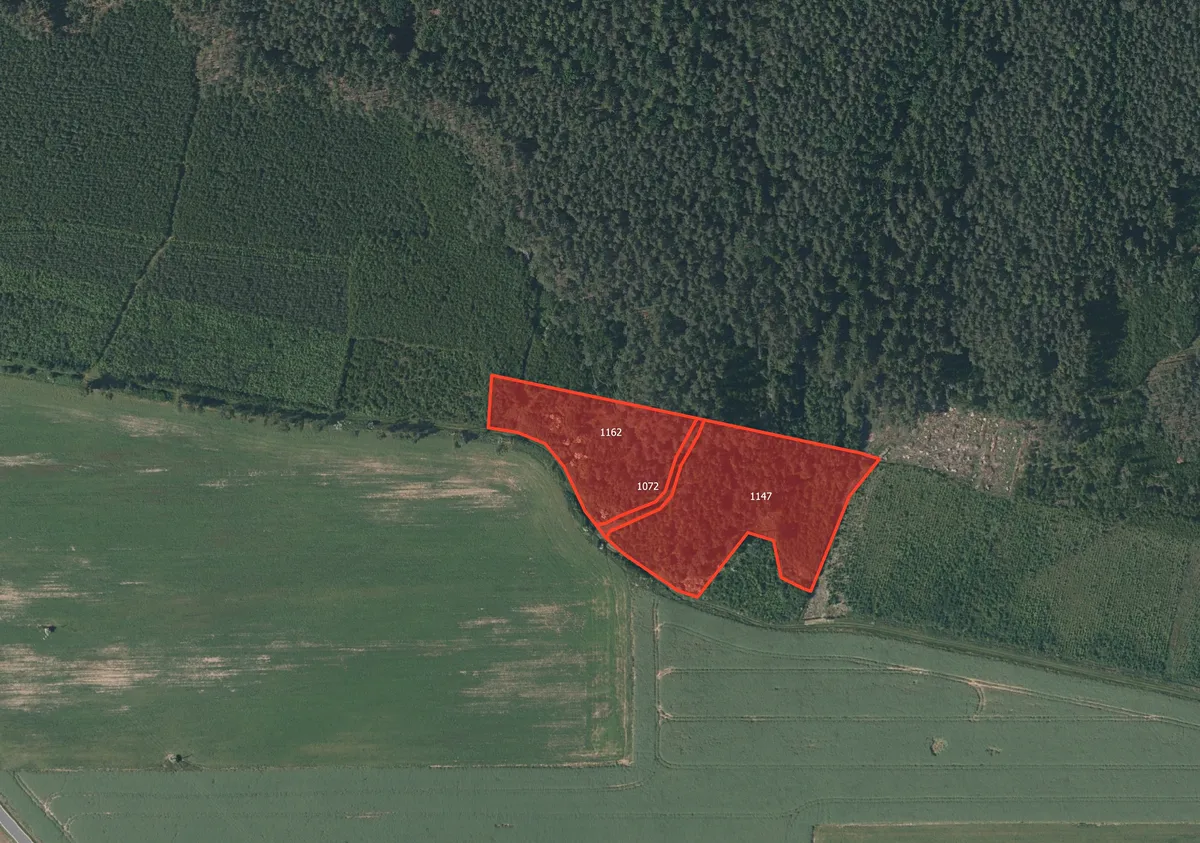 Prodej lesa 10814 m²